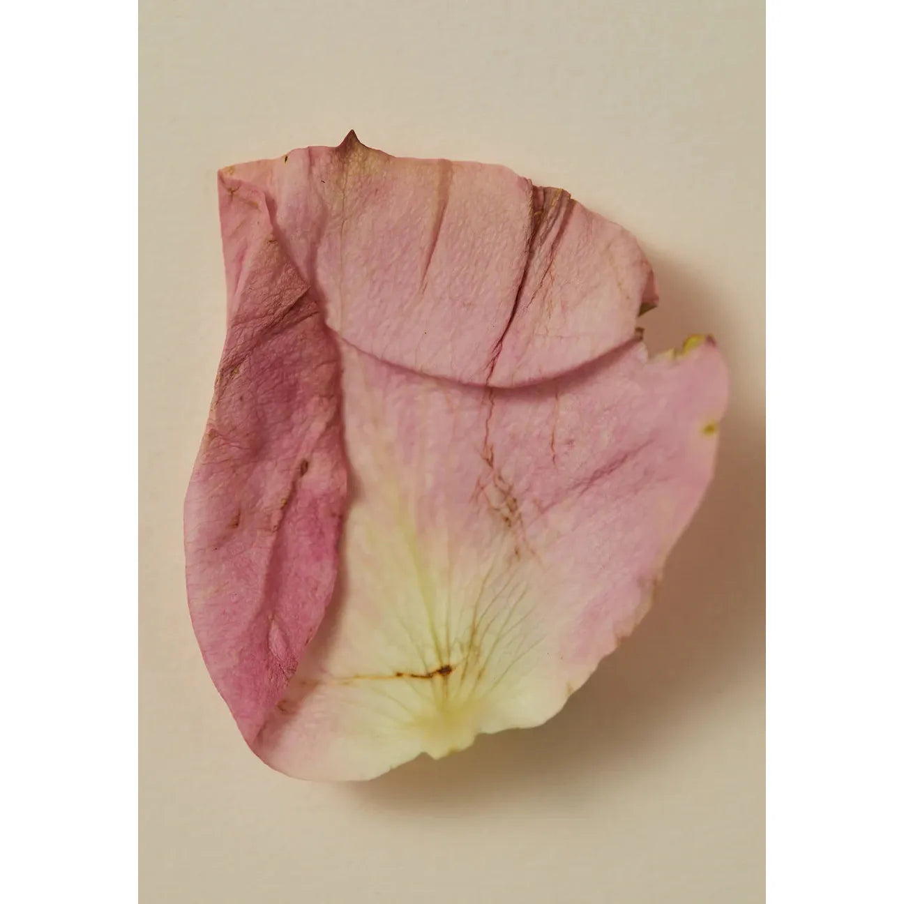 Perfume Oil - Smoking Rose