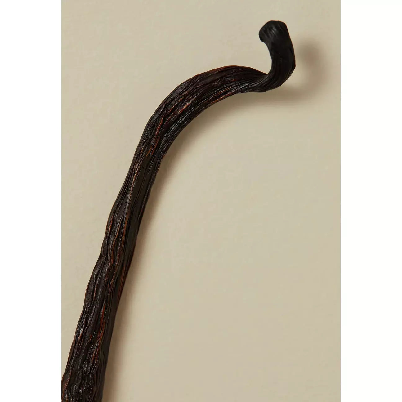 Perfume Oil - Carnal