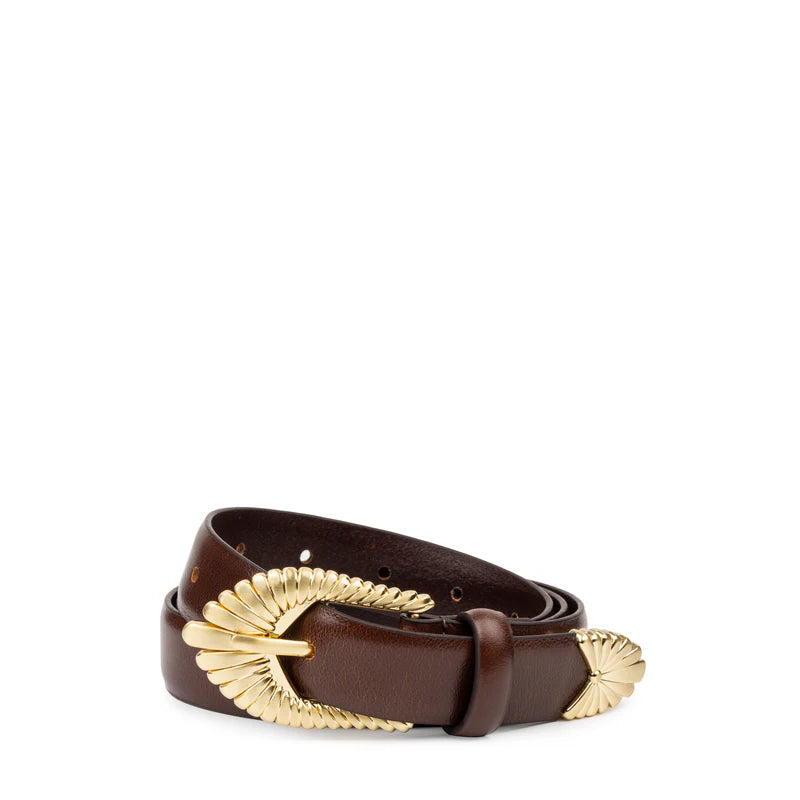 The Zolna belt - Cocoa