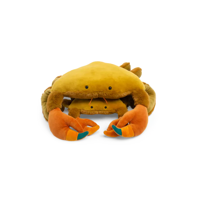 Autour Du Monde Large crab