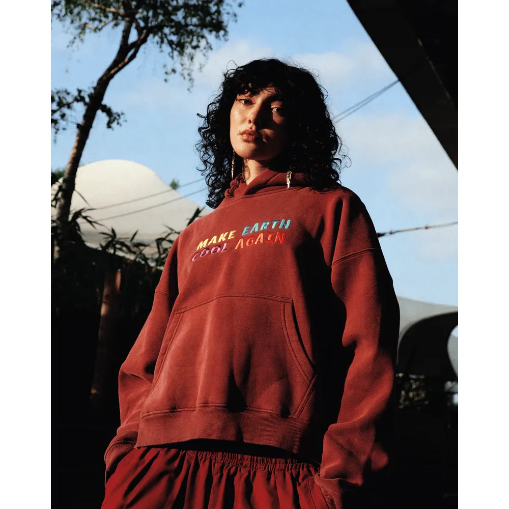 Make Earth Cool Again Hoodie
