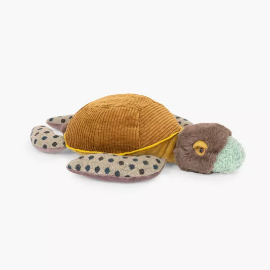 Autour Du monde small turtle