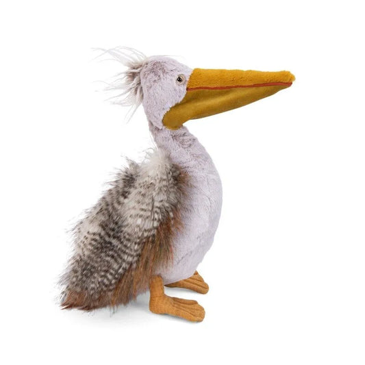 Tout Autour du Monde pelican
