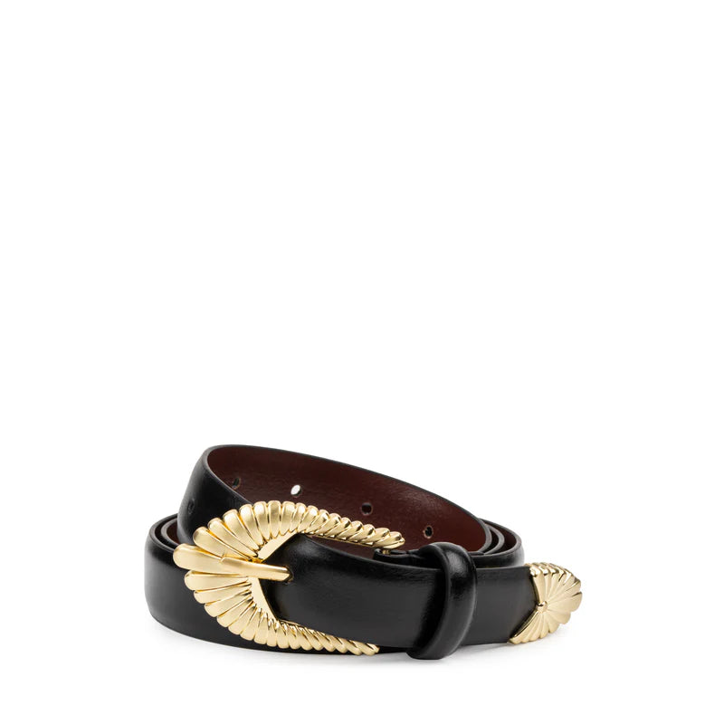 The Zolna belt