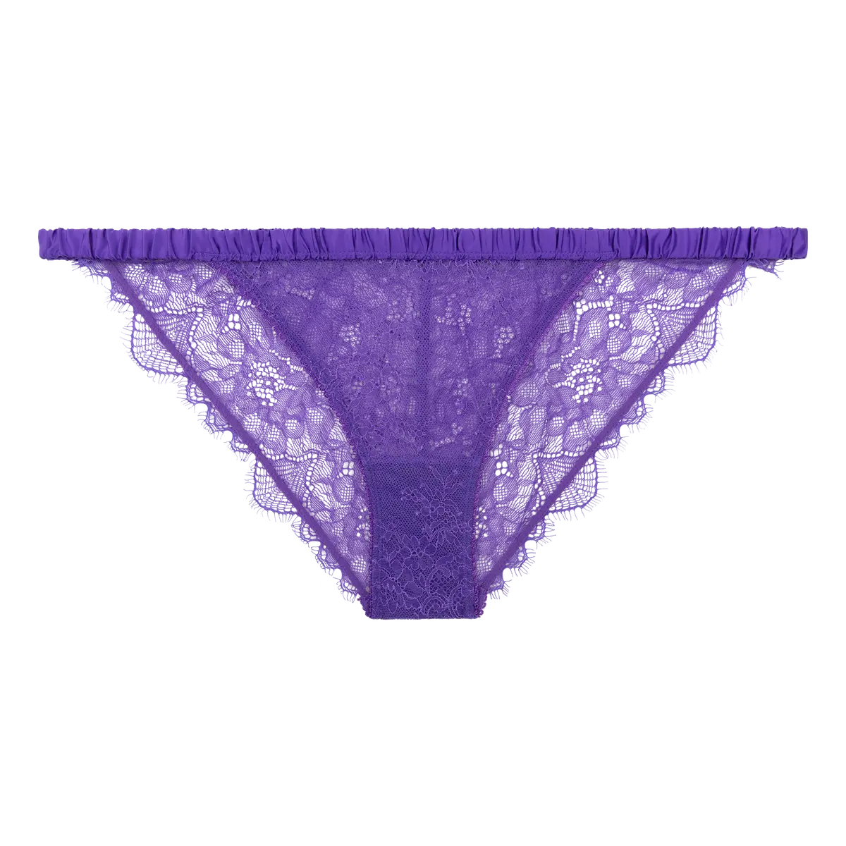 Wild Rose - Purple