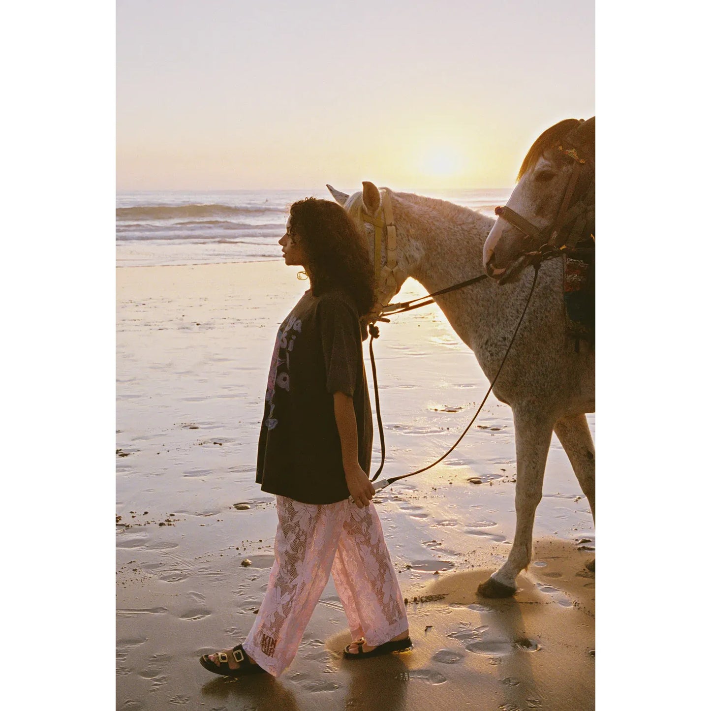 Nova Lace Shyla Pant