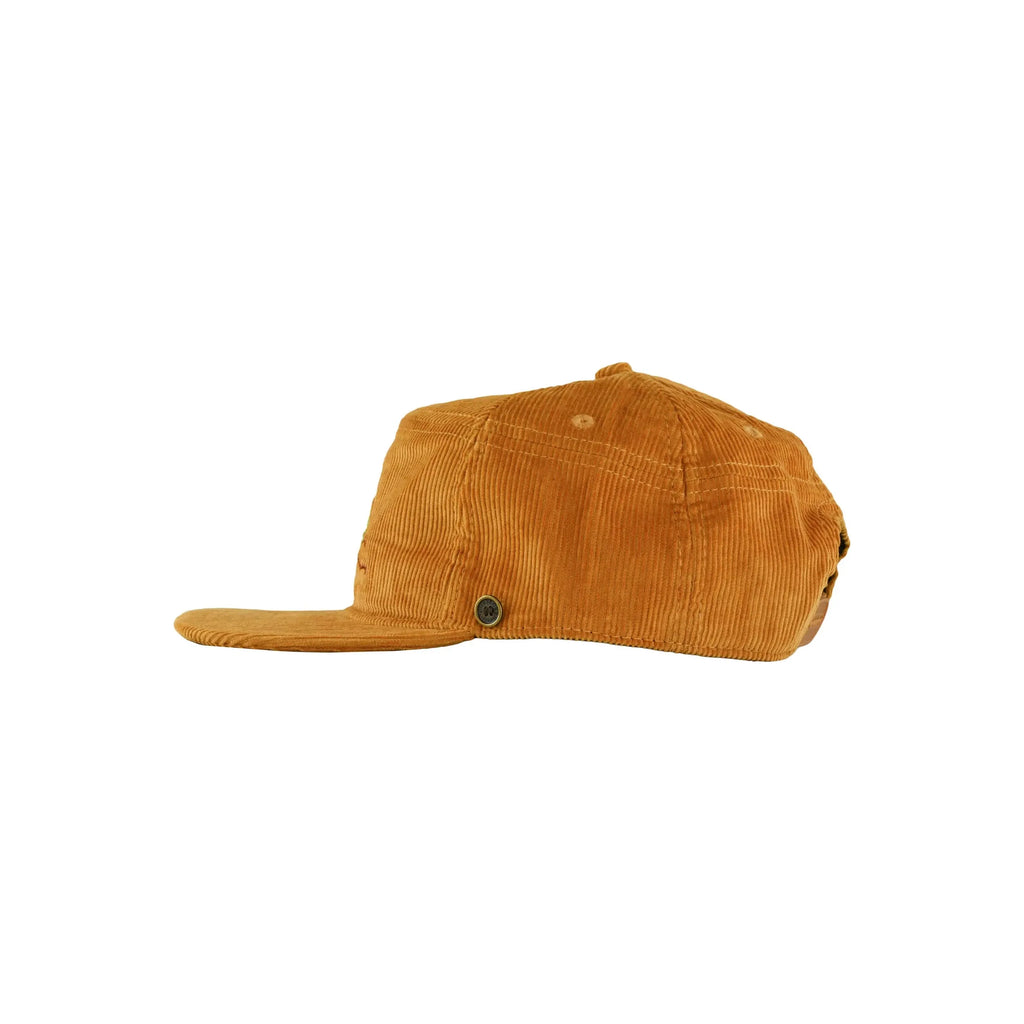 The Stash Cap - Cicada